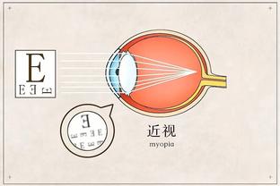 半岛综合体育APP登录截图4